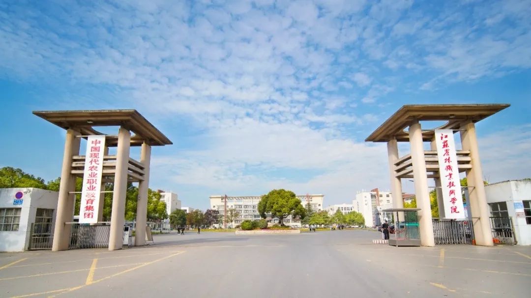 未畢業(yè)就定崗，一畢業(yè)就任教大學……這所職校的學生緣何這么牛？