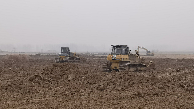 撂荒地重新種上糧 產(chǎn)量效益雙提升