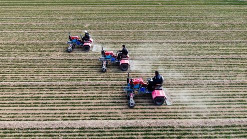 小麥管得怎樣？種子有無保障？農(nóng)機夠用嗎？