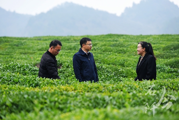 躬身為橋 緊盯供需連接山海 ——記廣東省粵黔協(xié)作工作隊銅仁工作組石阡小組組長，石阡縣委常委、副縣長李浩泉