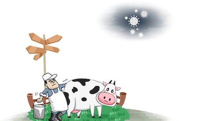 銷量“腰斬” 乳業(yè)求解疫情“大考”
