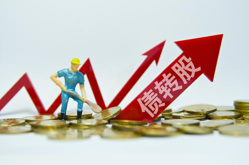 中國(guó)國(guó)新:跟進(jìn)130億元債轉(zhuǎn)股項(xiàng)目